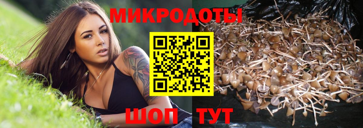 Псилоцибиновые грибы Cubensis  Псилоцибиновые грибы Psilocybine cubensis  Кувандык  Вход с VPN 