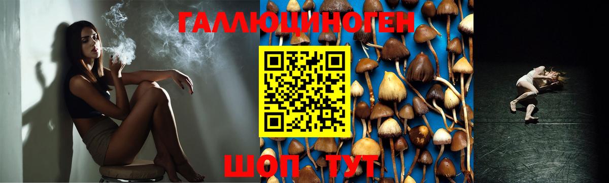 Псилоцибиновые грибы прущие грибы Кувандык